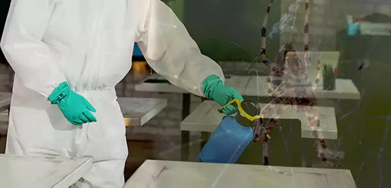 Why Buyers Still Want Homes With Pest Infestations in Bronx, NY?