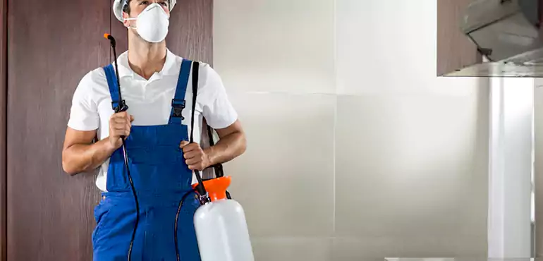 Why Bronx Homeowners Choose Us When Pests Make Selling Difficult