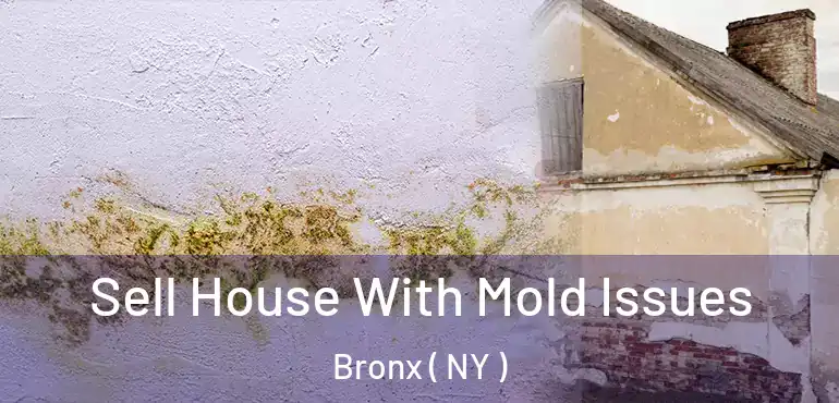  Sell House With Mold Issues Bronx ( NY )
